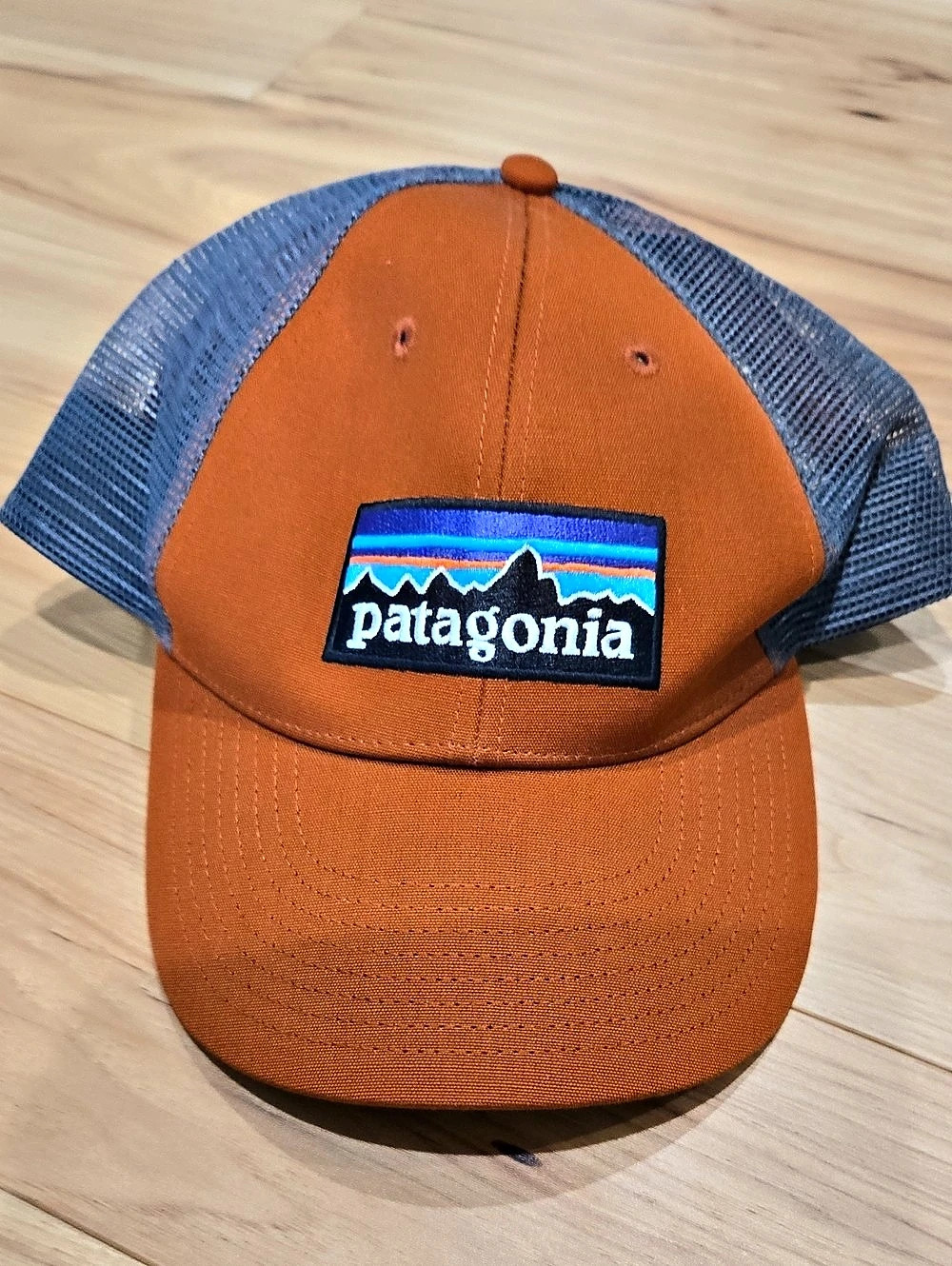 Patagonia P-6 Logo Trucker Hat Orange & Blue